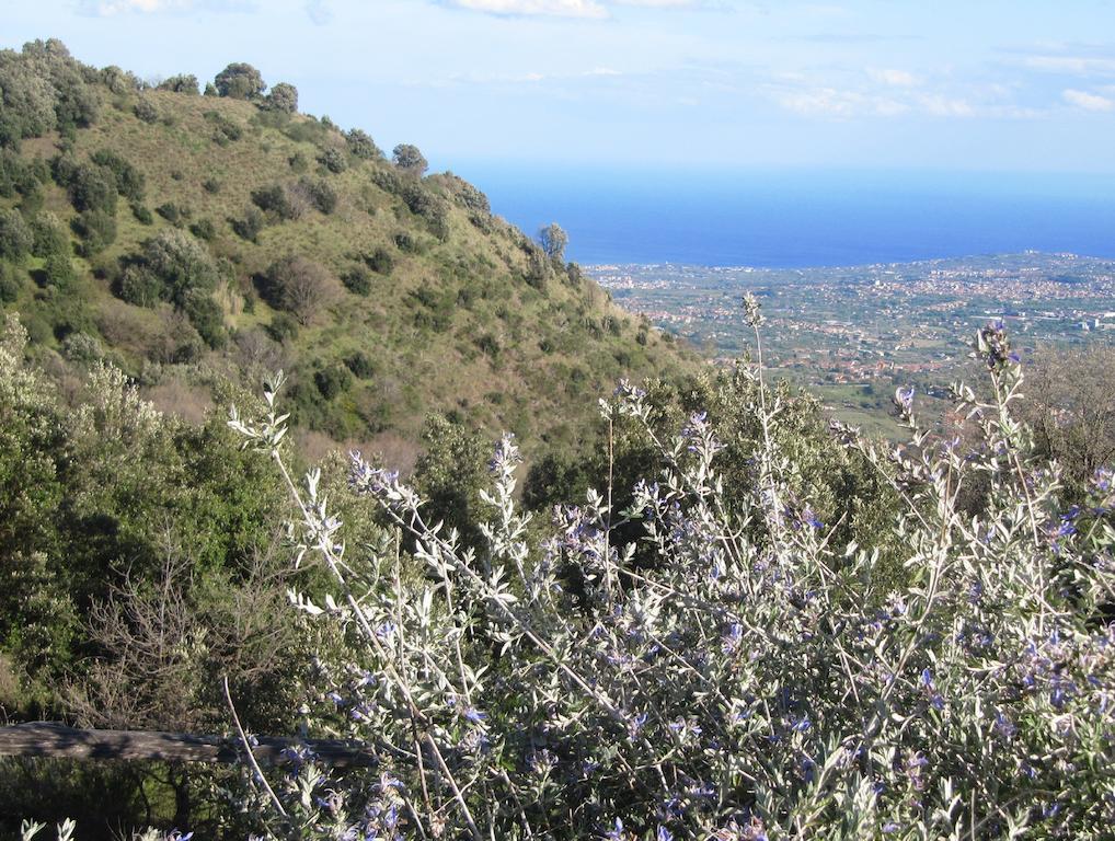 Penzion Casa Etnea Trecastagni Exteriér fotografie